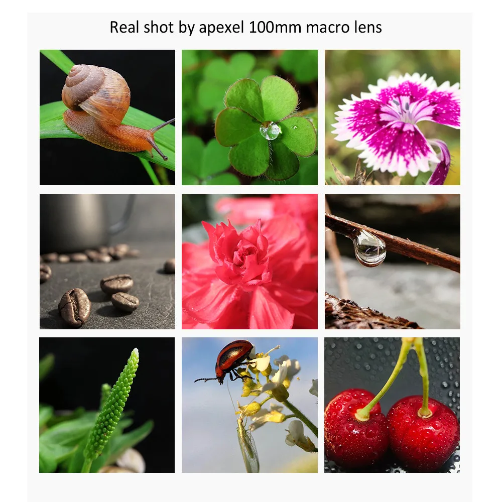 APEXEL Camera Phone Lens 100mm Macro Mobile Lens 4K HD Macro Camcorder Lenses+CPL+Star Filter for iPhone Samsung all Smartphone - Image 4