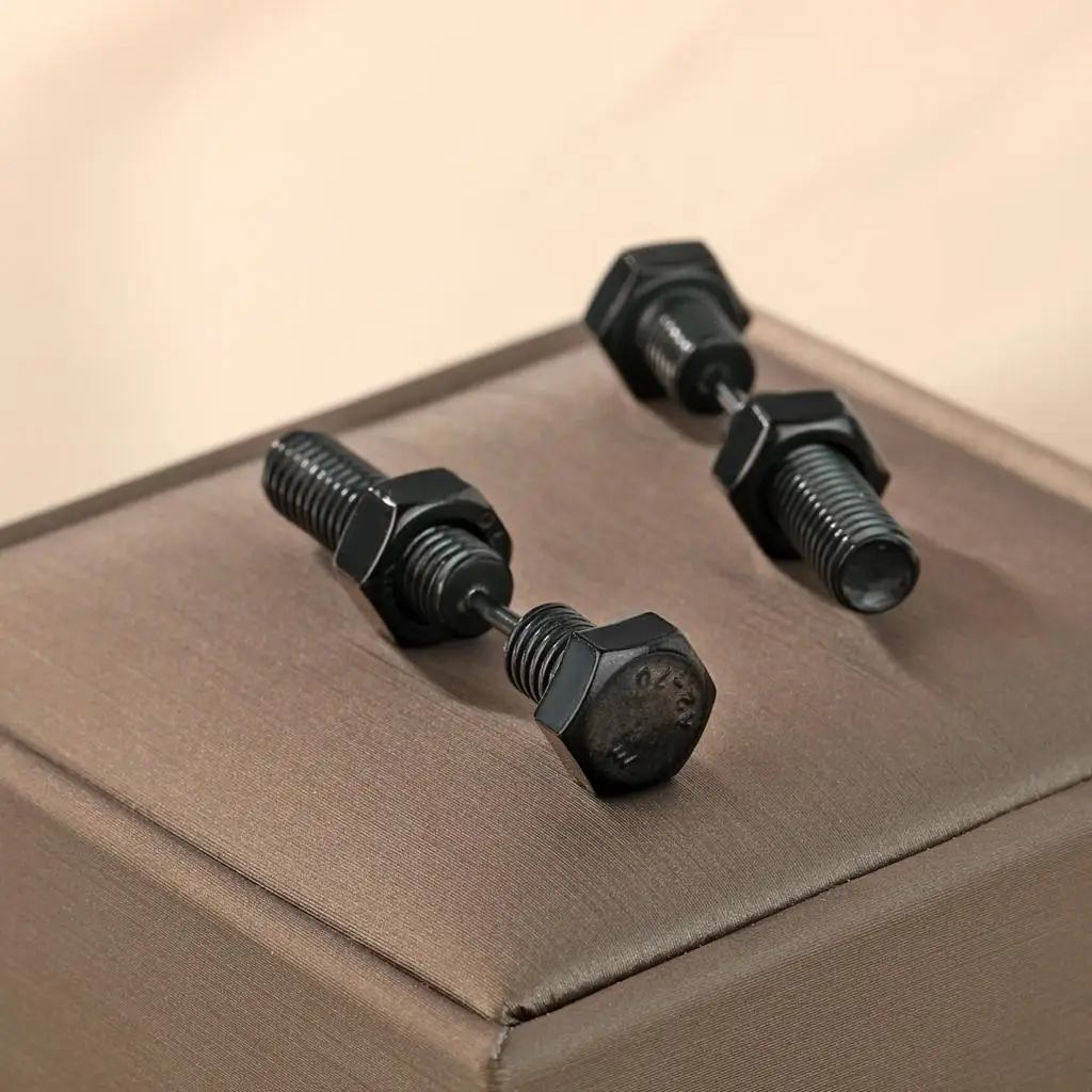 Kind Exquisite Fashion Earrings Screw Stud Earrings, Personalized Study Birthday Gift for Lovers - Image 6
