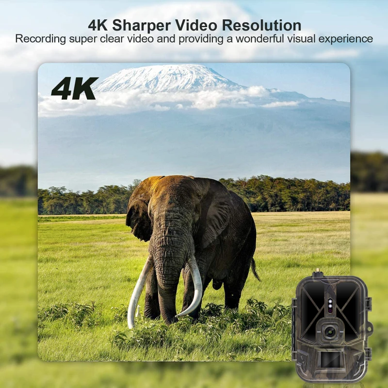 4G HD Live Video Lithium Battery Cellular Trail Camera 50MP 4K Wireless Game App Cloud Service Waterproof IP66 Wildlife Monitori - Image 5